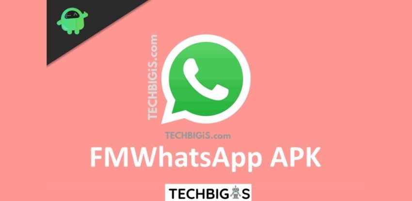 Fm Whatsapp Latest Version