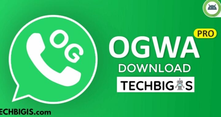 OG Whatsapp | Download OGWhatsapp 2022