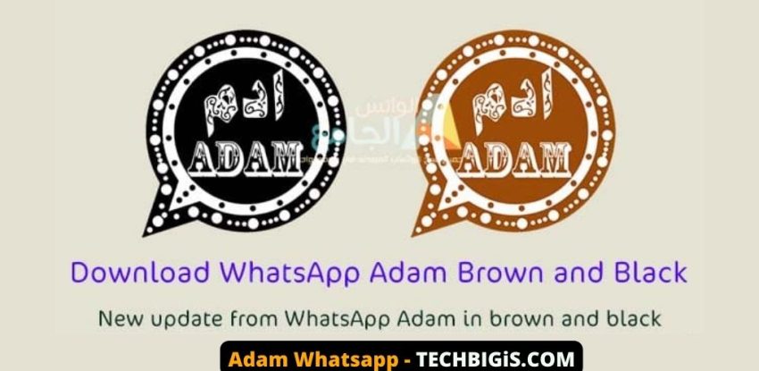 Adam Whatsapp