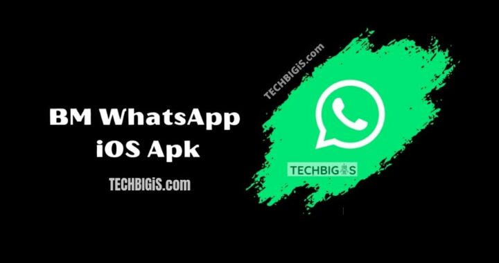 Download BM Whatsapp Latest Version 