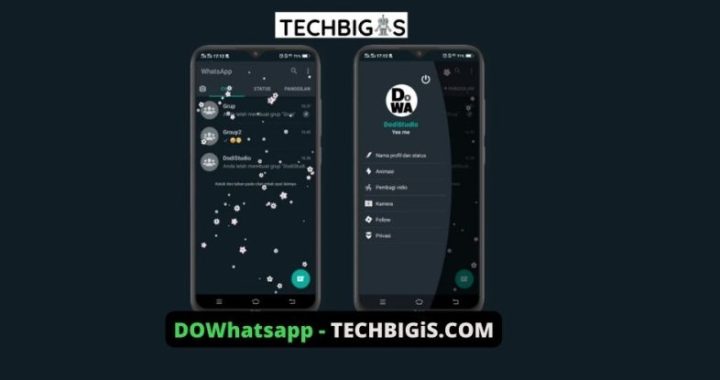 DOWhatsapp (Do Whatsapp) Download Apk 2022