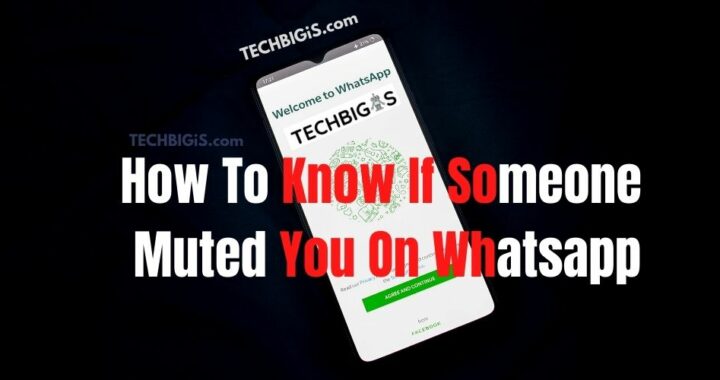 How To know If Someone Muted You On Whatsapp – Guide