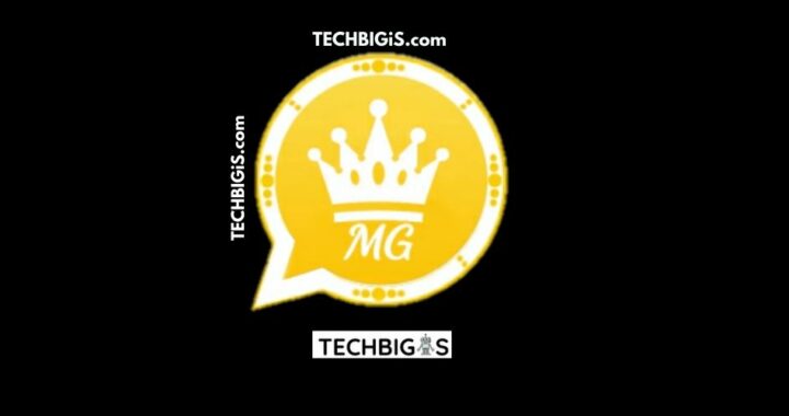 MG Whatsapp | Princess Whatsapp (Latest APK 2022)