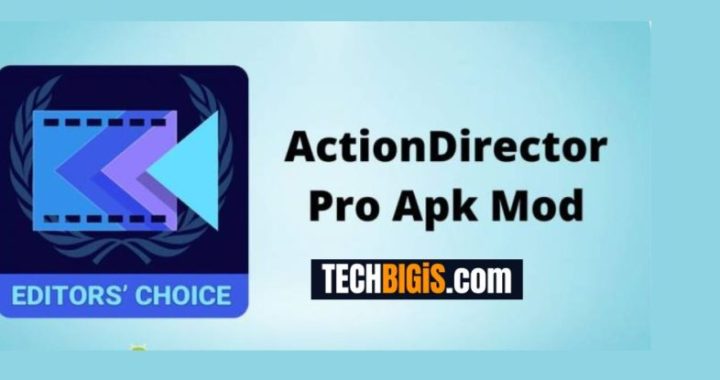 ActionDirector Mod APK (Action Director Mod Apk)