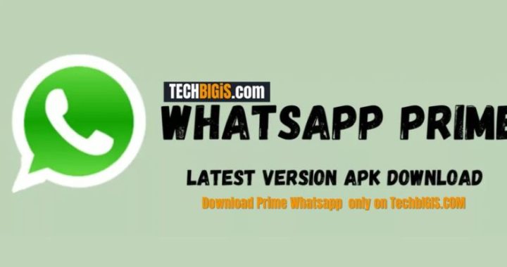Download WhatsApp Prime APK Official 2022 (Updated)