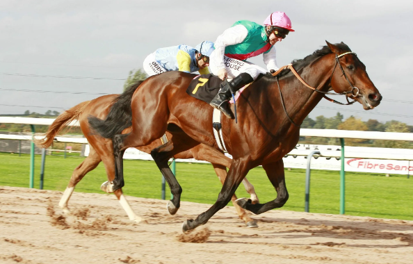 Winning Strategies for Horse Racing Betting