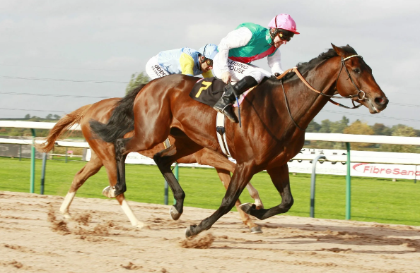 Winning Strategies for Horse Racing Betting
