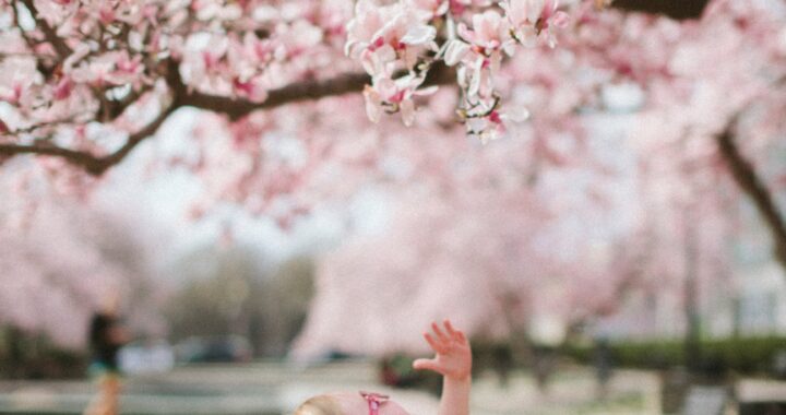 10 Ways To Maximize Spring Break with Children