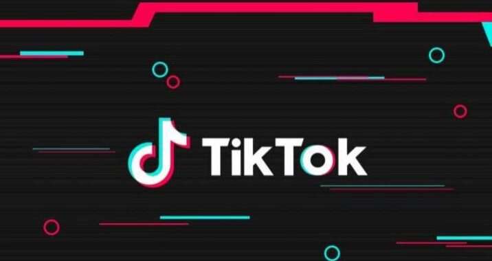 Step up Your TikTok Game: Download Any Video with Snaptik