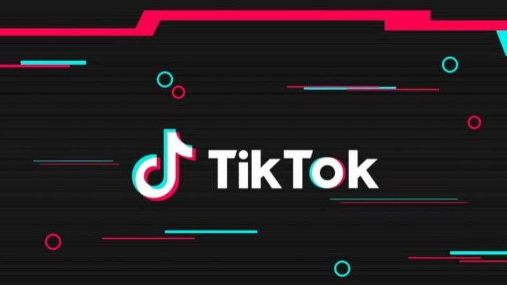 Step up Your TikTok Game: Download Any Video with Snaptik