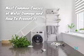 Common Causes of Water Damage: How Water Removal Services Can Help