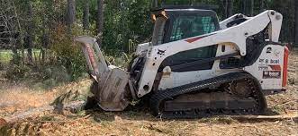 Exploring the Cost-Effectiveness of Forestry Mulching Services