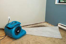 The Role of Professional Water Damage Restoration Services: Why DIY Isn’t Enough