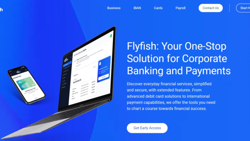 Flyfish Review – Get a Comprehensive Set of Tools for Your Business