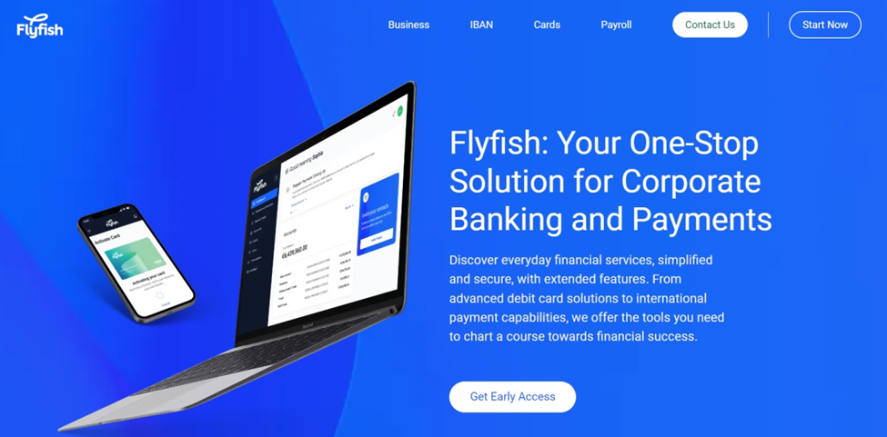 Flyfish Review – Get a Comprehensive Set of Tools for Your Business